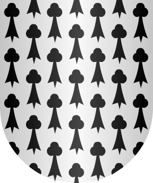 ESCUDO PRECEDENTE